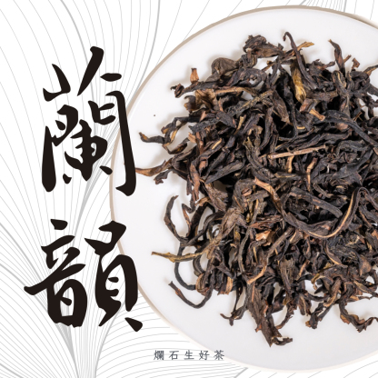 蘭韻｜鳳凰單叢 - 高山蘭花韻