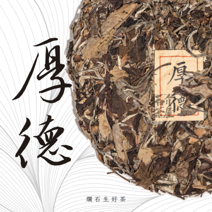 厚德｜雲縣500年古樹白茶