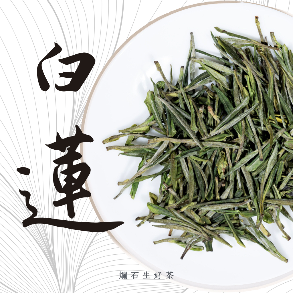 白蓮｜特級頭採安吉白茶