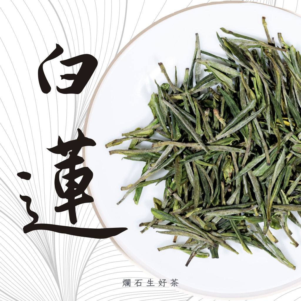 白蓮｜特級頭採安吉白茶