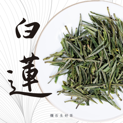 白蓮｜特級頭採安吉白茶