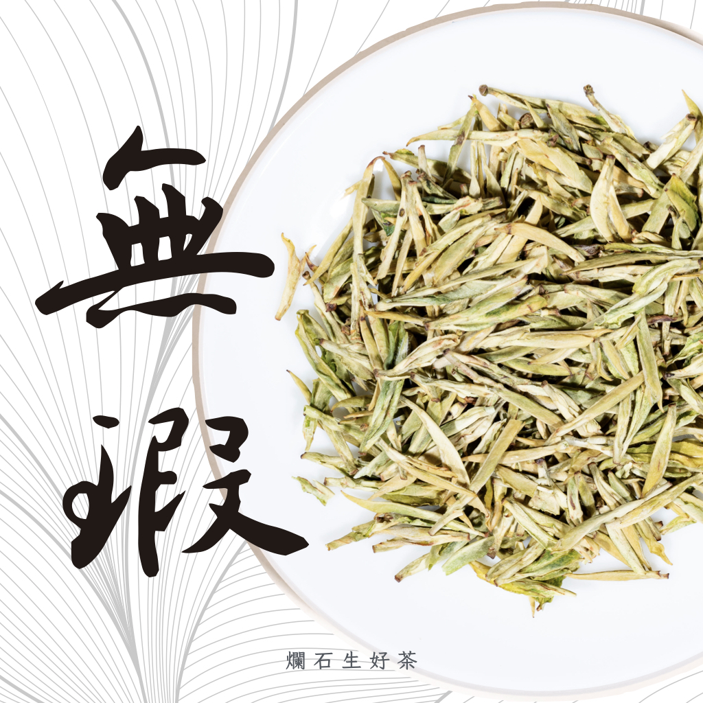 無瑕｜特級白化安吉白茶 - 黃金芽