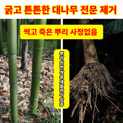 【🏅품질보증】나무·대나무 독살, 뿌리 근절, 한 번에 뿌리 뽑기, 1팩 1년 사용 가능