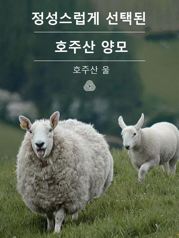 고급감 니트 가디건 원피스 투피스 세트복
