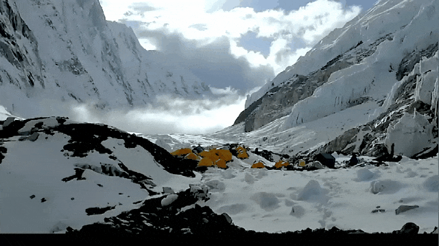 1_11 (2).gif