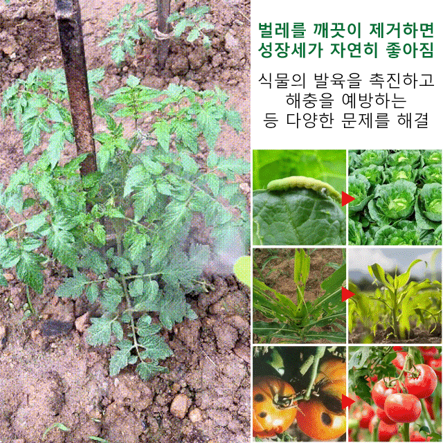 이 살충제를 한 번 시도해 보면, 올 계절에 해충이 절대 없어졌어요