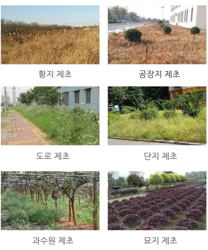 [농업 전문가 추천🏅️] 나오지 않은 씨앗까지 완전 밀봉. 한 번 사용으로 1년 효과 지속