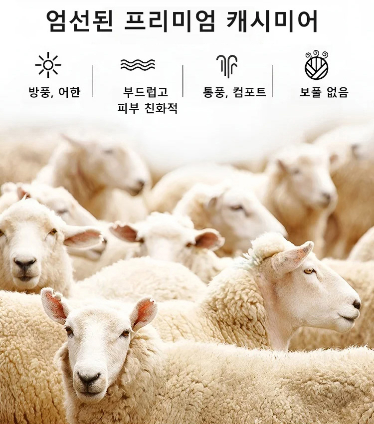 남성용 단색 맨투맨 세트💥