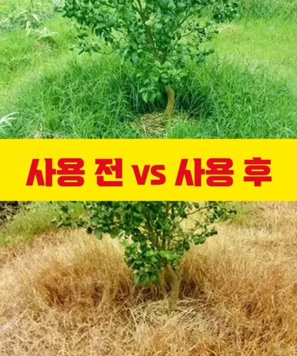 [농업 전문가 추천🏅️] 나오지 않은 씨앗까지 완전 밀봉. 한 번 사용으로 1년 효과 지속