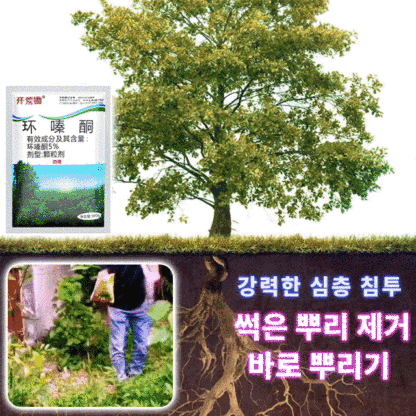 【🏅품질보증】나무·대나무 독살, 뿌리 근절, 한 번에 뿌리 뽑기, 1팩 1년 사용 가능