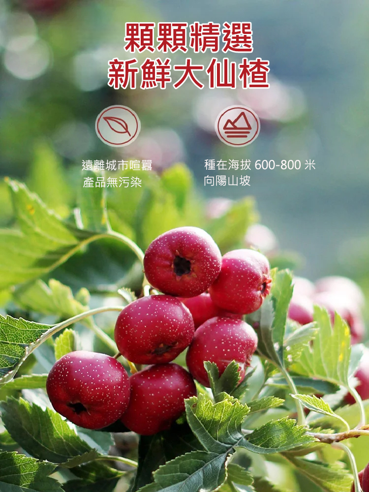 空心無核仙楂乾