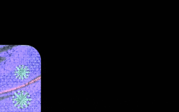 GIF 6