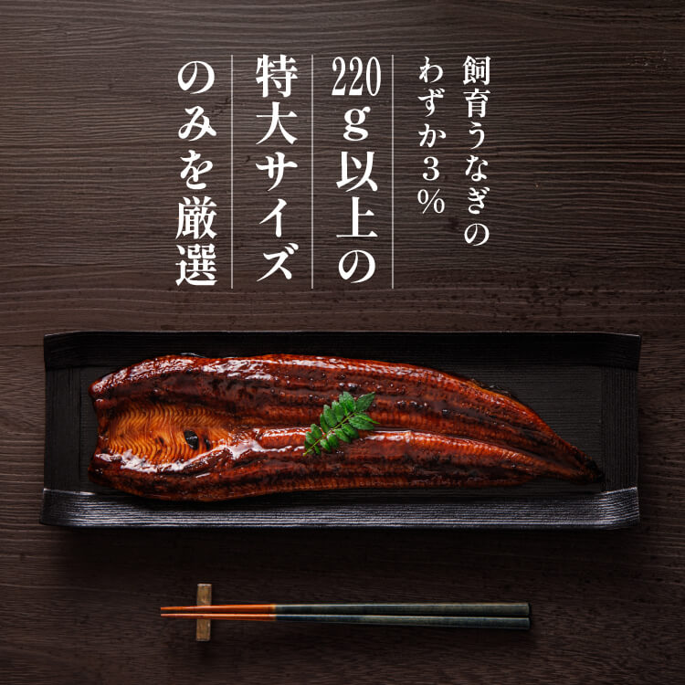 鹿兒島產 日本特大鰻魚（蒲燒）