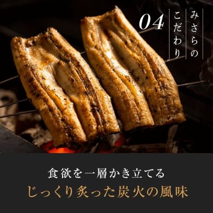 鹿兒島產 日本特大鰻魚（炭火白燒）