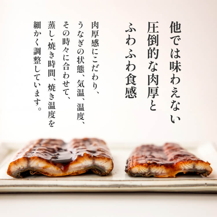 鹿兒島產 日本特大鰻魚（蒲燒）