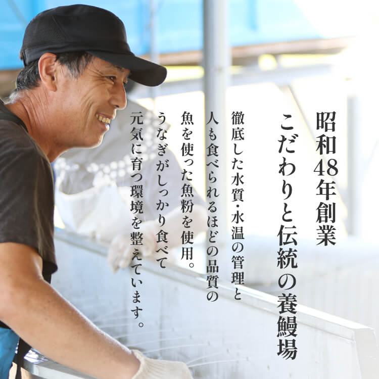 鹿兒島產 日本特大鰻魚（蒲燒）