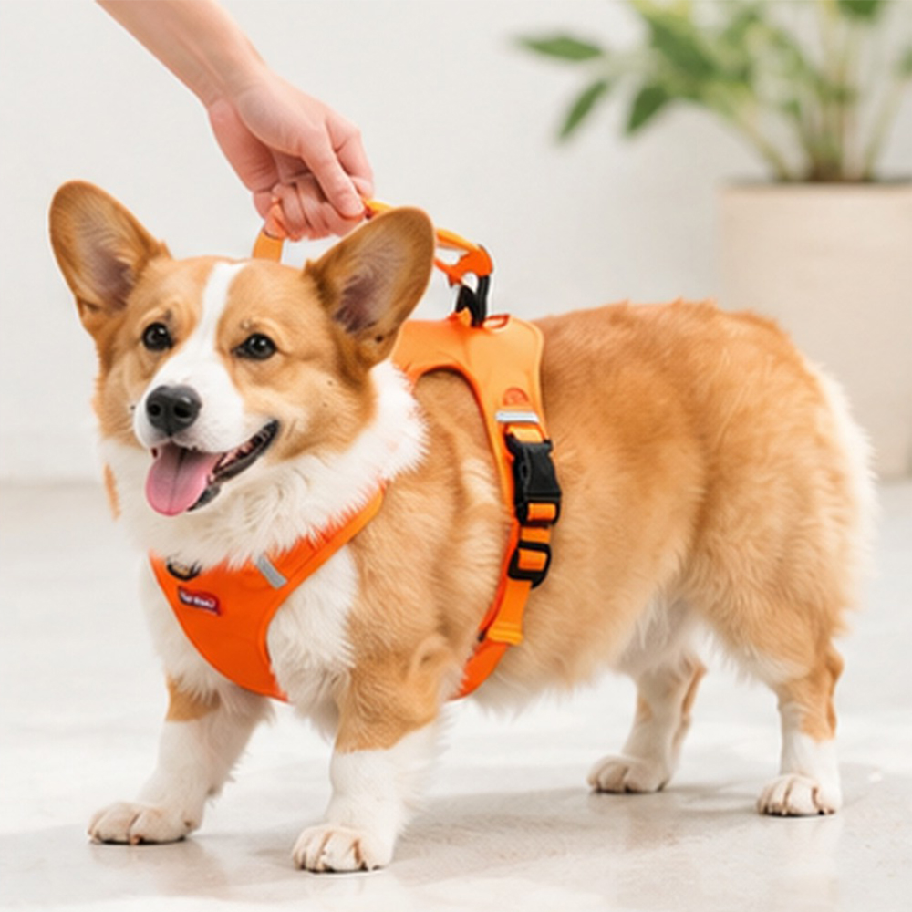 犬用ハーネス｜反射付き・通気メッシュ・引っ張り対策｜リード付き｜一体型｜Giipet