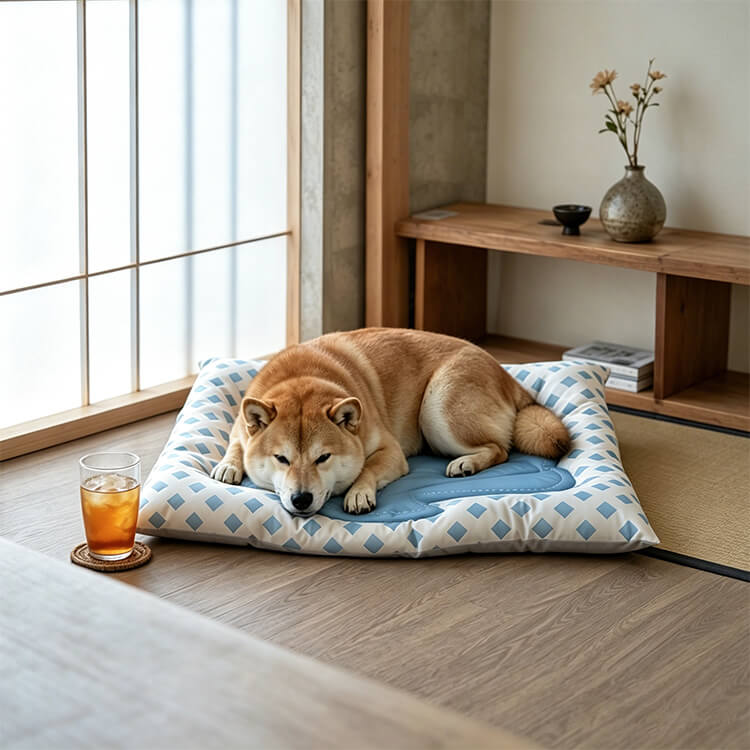 カドラー シェル型ペットマット 夏用 ひんやりベッド 犬 猫 クールマット 接触冷感 シルク 凹凸デザイン 通気性抜群 蒸れない ひっかきに強い 丈夫 破れにくい 滑り止め 暑さ対策 熱中症対策 洗える 小型犬 中型犬 ペット用品