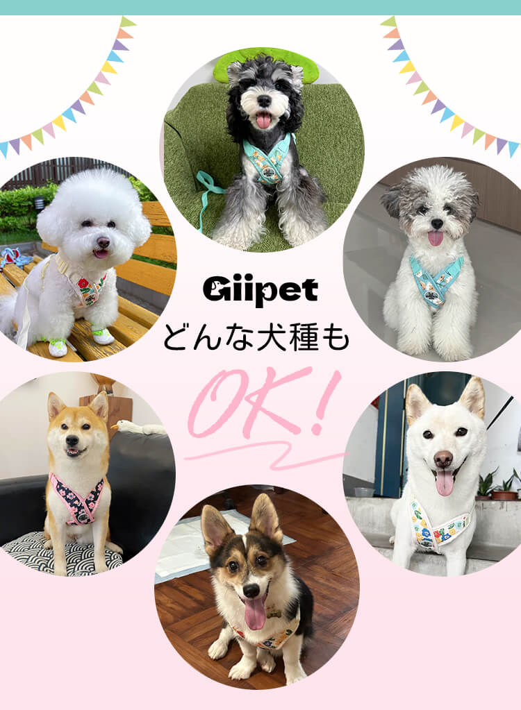 Giipet-ペットクロス型花柄ハーネスセット