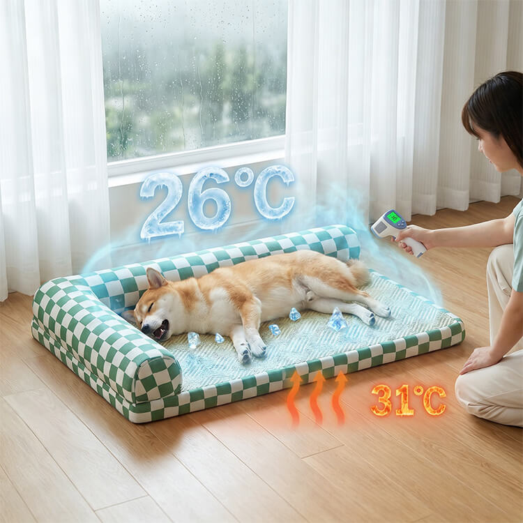 All Products – Giipet