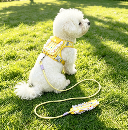ベスト型ハーネスリードセット 抜け出し防止 AirTag対応 小型犬 中型犬 ドット柄 レース付き ポケット ハーネス バックパック 迷子防止 ダブルロック 首に優しい 夜間反射 お出かけ 簡単着脱 ペット用品