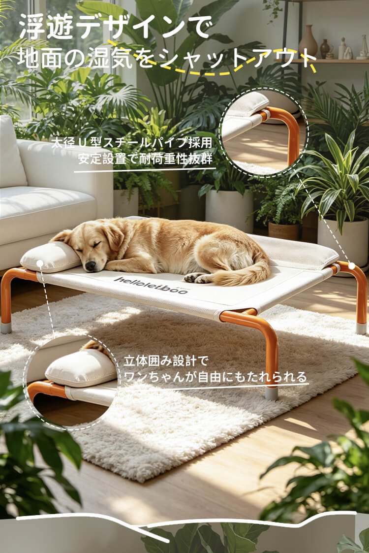 详情(橙色)_03.jpg