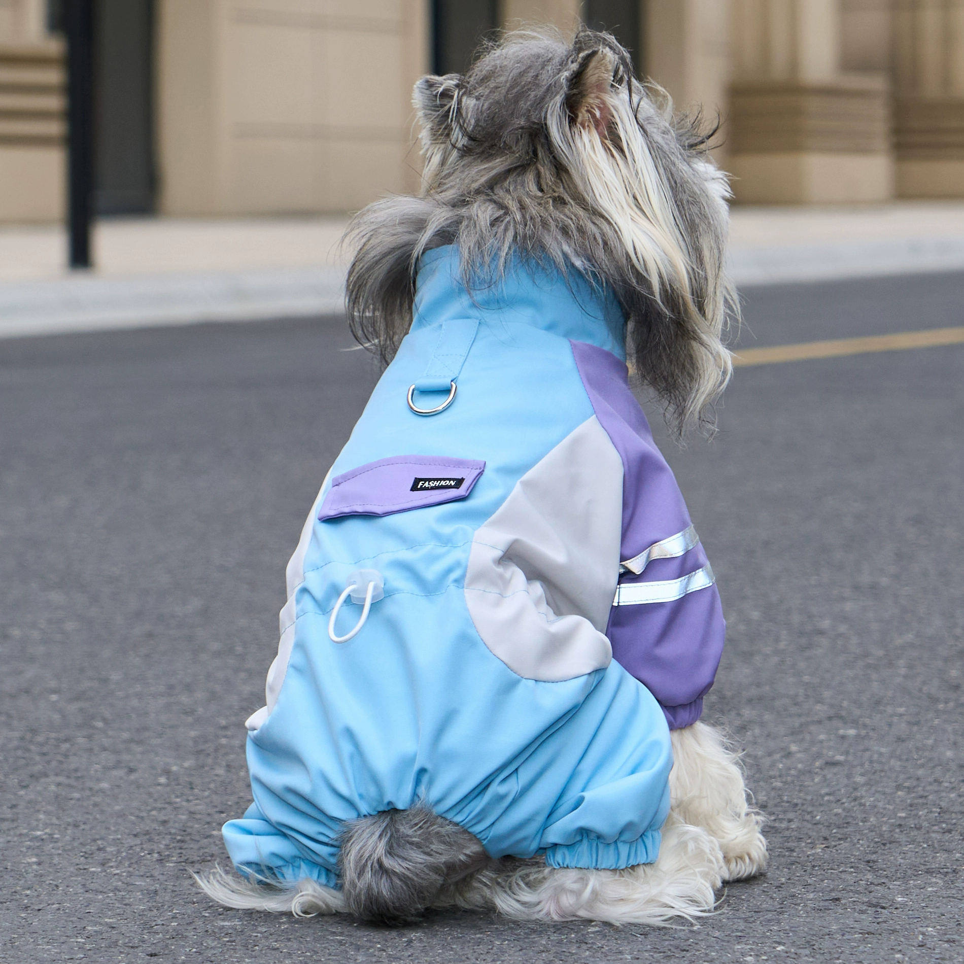 小型犬用 犬服つなぎ 秋冬 裏起毛 ぽかぽか 防寒保温 蓄熱 撥水 防水 防風 防汚 四脚フルカバー リードフック付き ジッパー式で着脱簡単 夜間反射材で夜散歩も安心 動きを邪魔しない ずれにくい ぴったりフィット ドッグウェア-Giipet