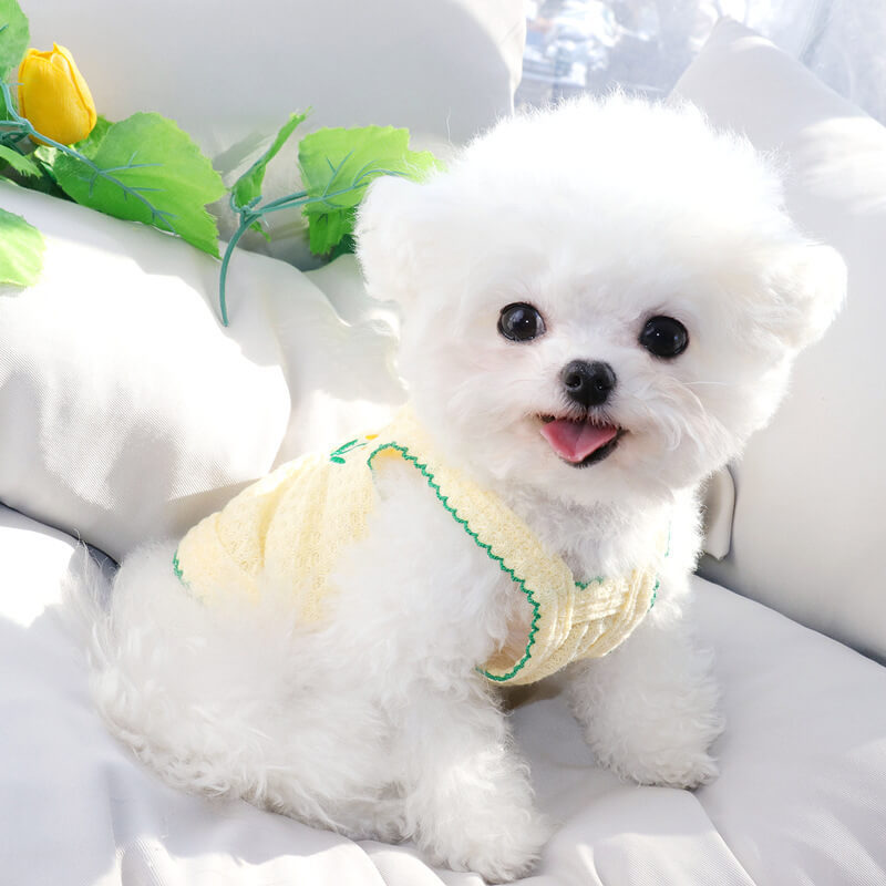 犬猫用夏服キャミソール 締め付けない 蒸れない 究極の快適さ 通気性抜群 薄手軽量ウェア 子犬小型犬向け 春夏に最適 抜け毛つきにくい 多色展開 立体裁断 高弾性 動きやすいストレスフリー設計
