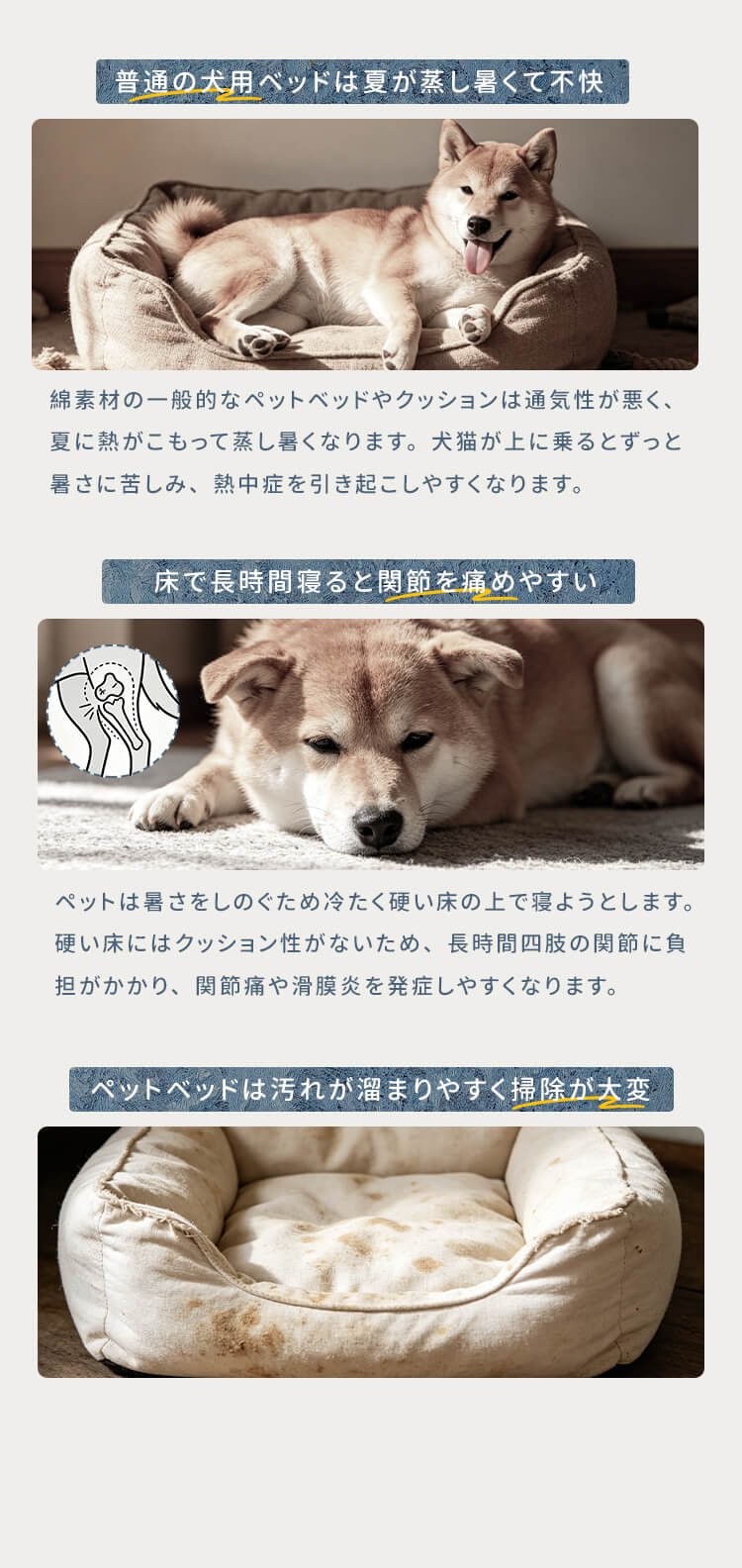 详情_02.jpg