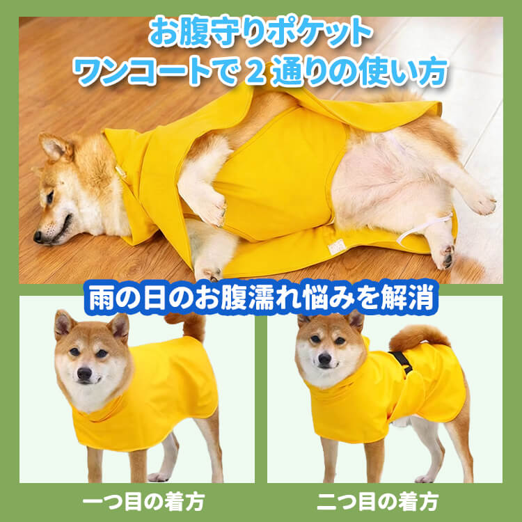 giipet-ペット用 おなか保護 レインコート