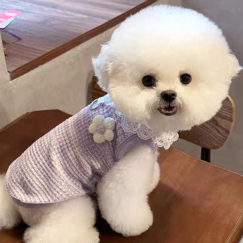 ニット製 可愛いレース襟 ペット用薄手ベスト 犬服 猫兼用 春夏 綿100% コットン 通気性抜群 蒸れない 透かし編み 可愛い お洒落 ドッグウェア 小型犬 中型犬  抜け毛防止 部屋着 散歩