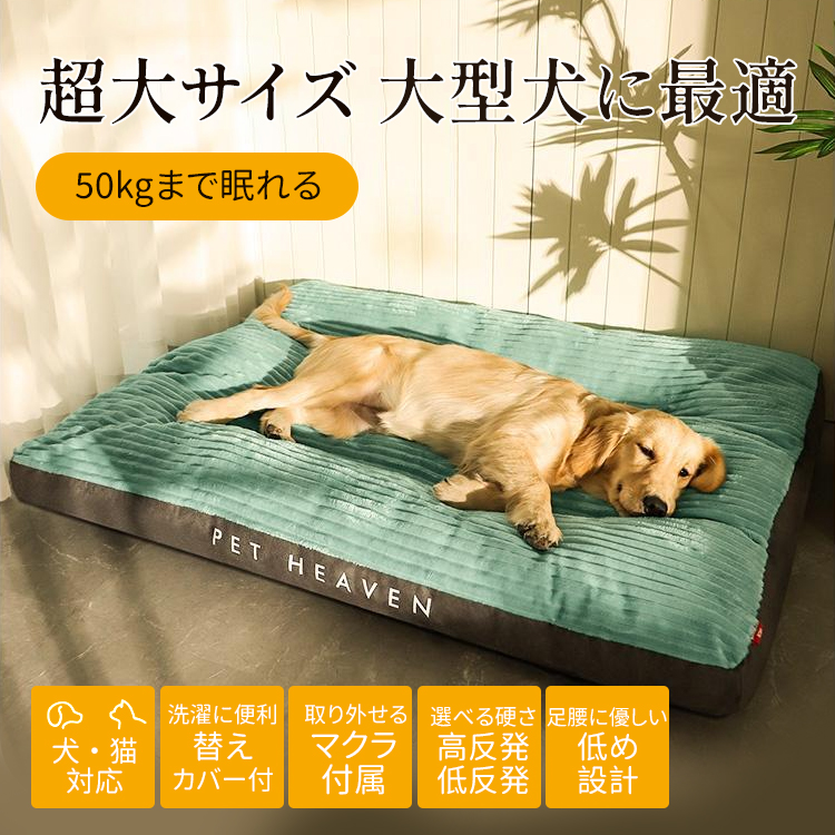 犬 ストア 用 クッション