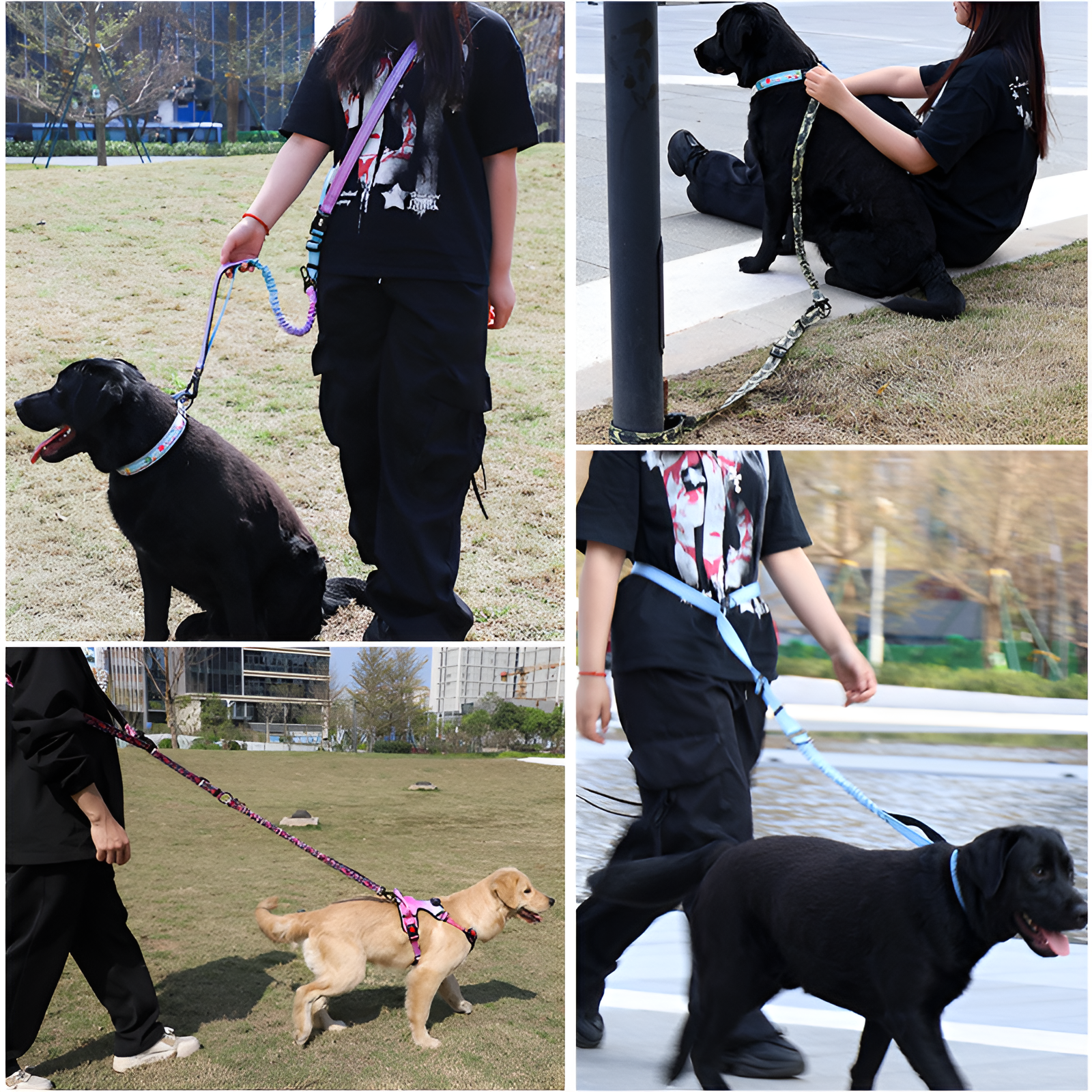 新しいペット防爆牽引ロープクロスボディランニング牽引ロープハンズフリー犬のリード犬のリード