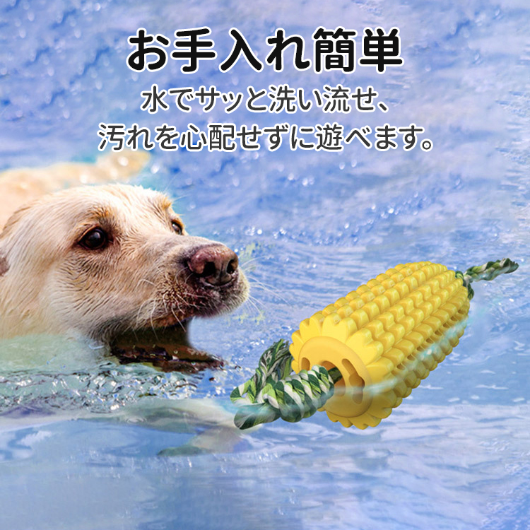 コーン型歯磨きスティック