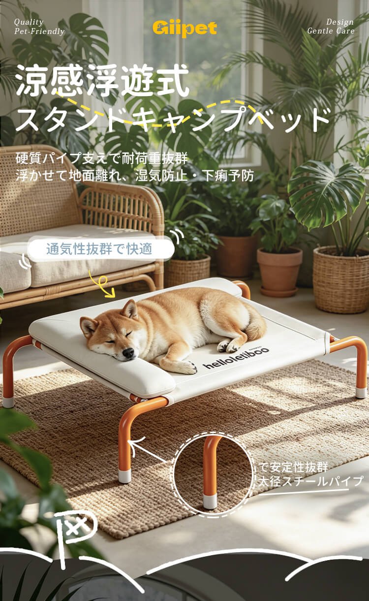 详情(橙色)_01.jpg