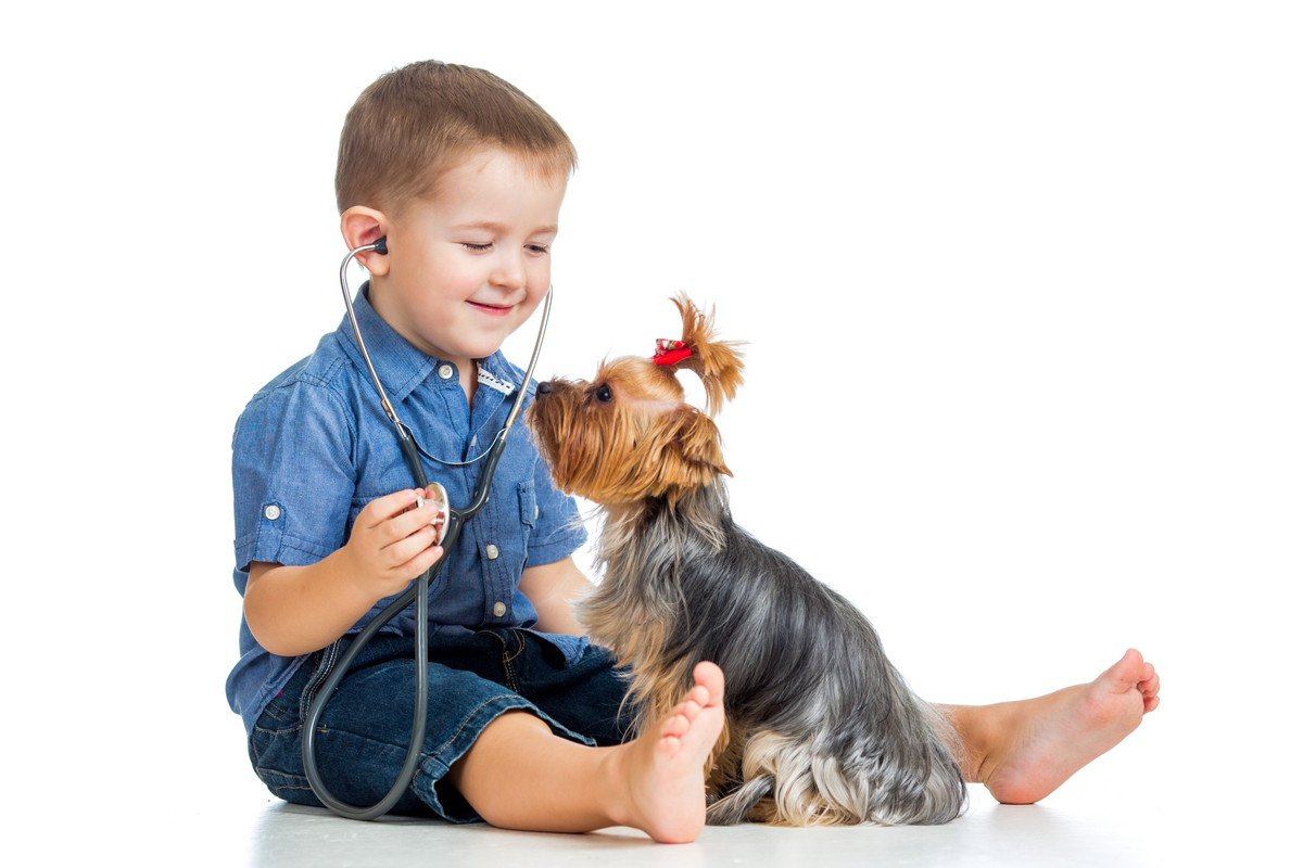 犬の歯磨き、間違ってませんか？ 絶対にしてはいけない3つのNG行為と正しいやり方-Giipet