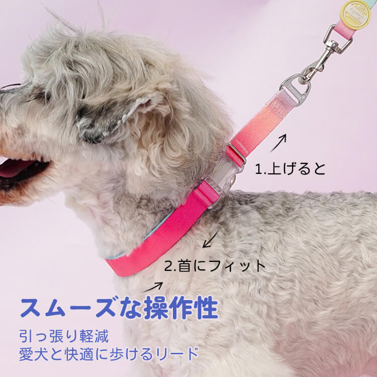 虹色LEDライト付きリード＆ハーネスセット 夜間安全 引張防止 ペット用お散歩グッズ カラフル3色ライト搭載 シャイニングスカイ ドリーミングサンセット 犬用ハーネス 小型犬 中型犬 安心お出かけ