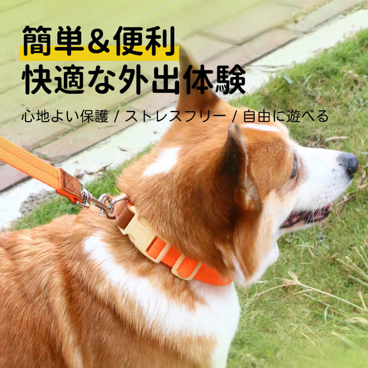 犬用首輪リードセット