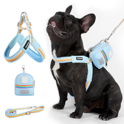 犬用Y字型ハーネス＆リードセット 中小型犬向け 虹色レインボーカラー 軽量メッシュ素材 通気性抜群 首締め付けない 引っ張り防止 骨格圧迫しない快適設計 サイズ調整可能 着脱簡単 丈夫なPUレザー素材 お散歩が快適に