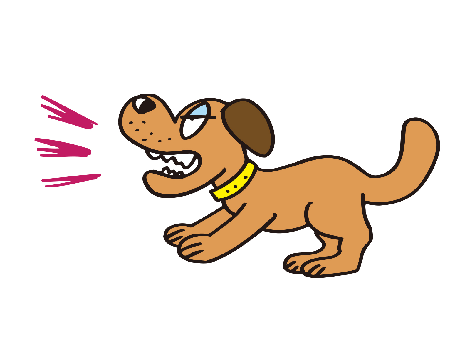犬の吠えるについて注意すべきポイント | 大阪で唯一！怖がり犬 ...