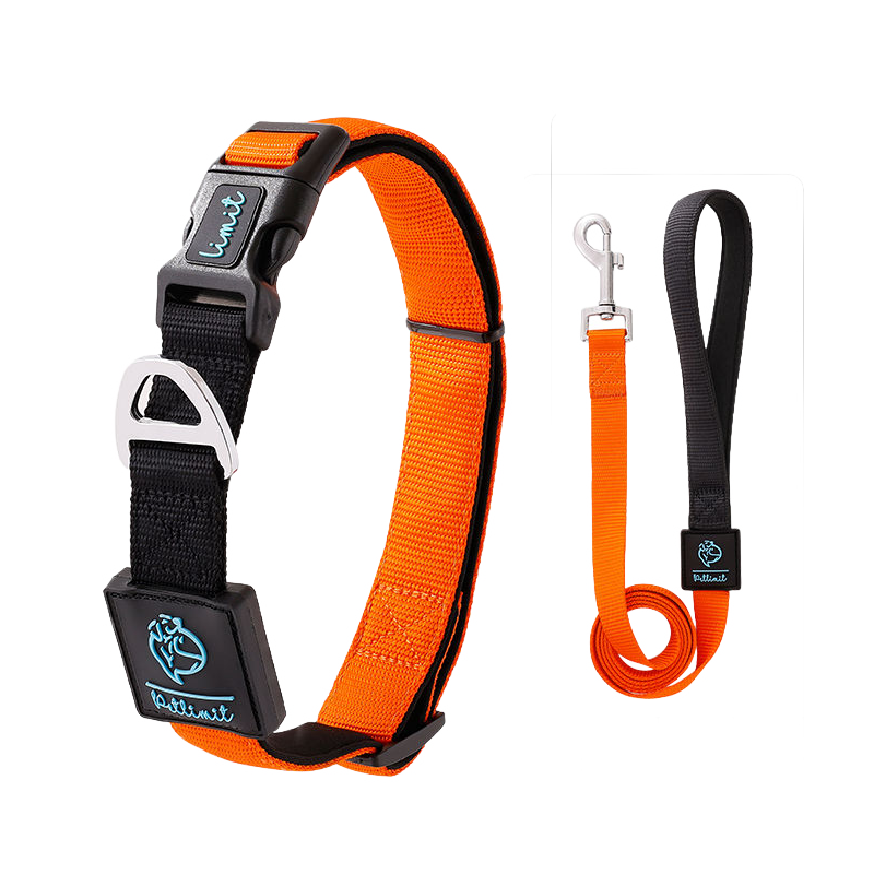 犬用コントラスト配色首輪リードセット ペット用牽引ロープ 360°フィット ソフト 調節可能 4色展開 スペースコットン裏地 高密度ポリエステル 丈夫 耐久性 小型犬 中型犬 大型犬対応 D型リング安全設計 着脱簡単 快適 おしゃれ-Giipet