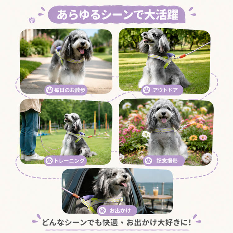 Giipet-T型ペット用ハーネス 衝撃吸収 愛犬とのお散歩がもっと楽しくなる 通気性バツグン ダブルDカン  抜けにくい 1.5mリード付き 犬用胴輪 お散歩