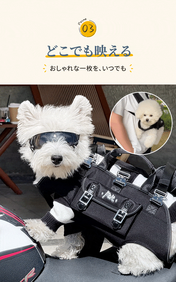 giipet-小型犬横向狗背带_08.gif