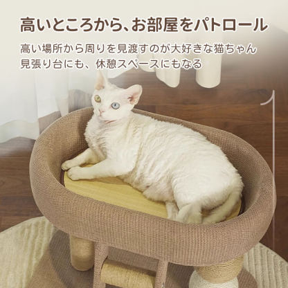 キャットタワー コンパクト ベッド付き 多頭飼い対応 省スペース 全面サイザル麻 爪とぎポール はしご 麻縄ボール ひんやりマット付属 研ぎカスが出にくい 安定構造 簡単組み立て オールシーズン対応 猫用 遊び場 休憩所 ストレス解消-Giipet