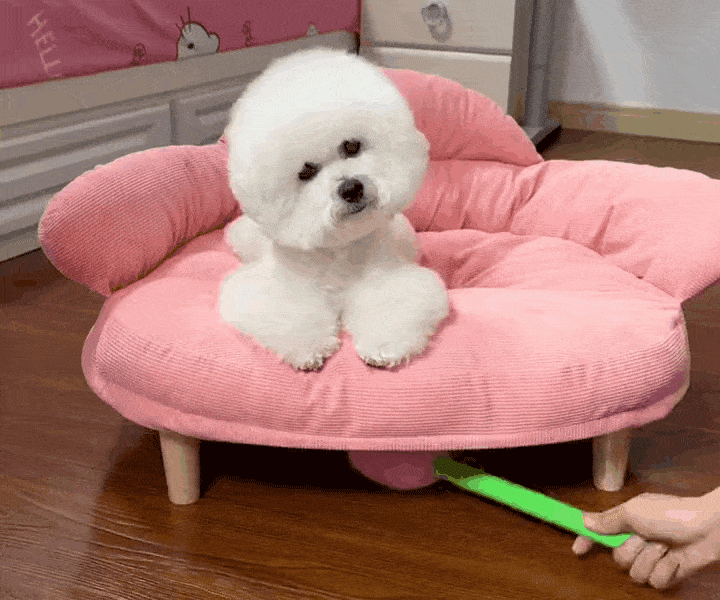 1sao721716819955.gif