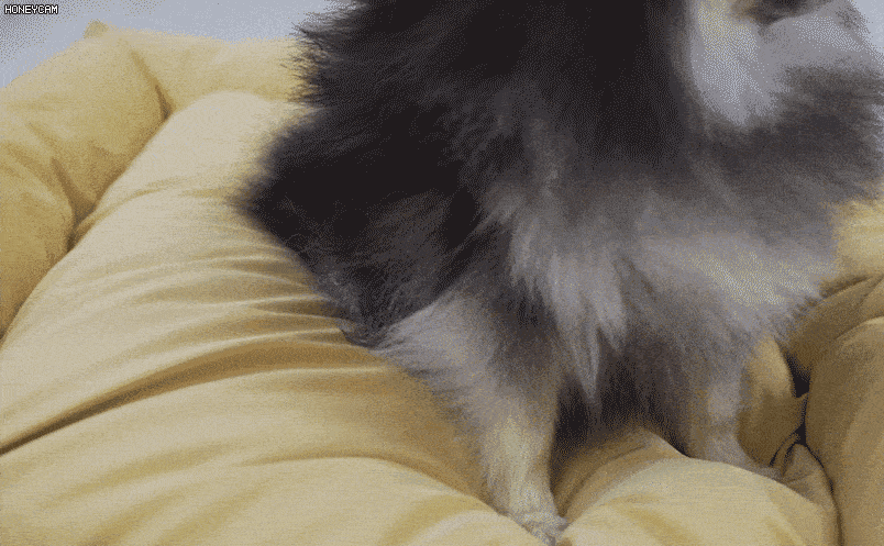2_09.gif