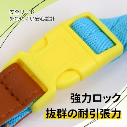 犬用首輪リードセット