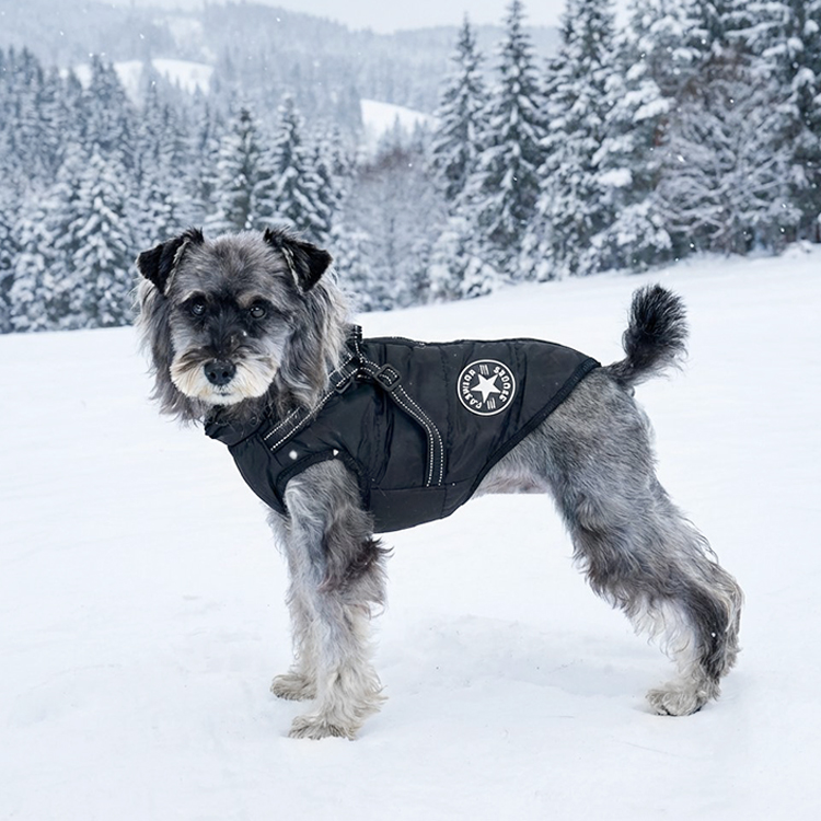 防寒保温ペット服 冬 ペット コート 犬 ジャケット ドッグウエア パーカー 小中型犬 保温 防寒 お散歩お出かけ 軽量 着脱簡単 秋 防水ジャケット 暖かい 