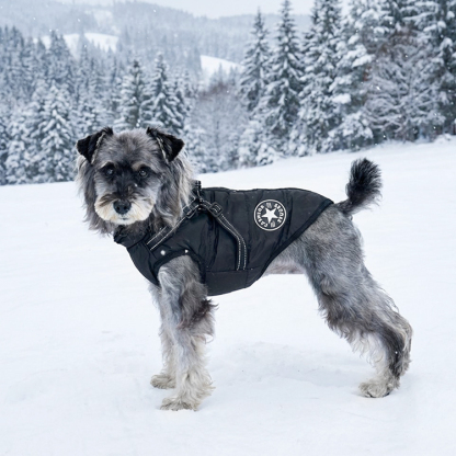 防寒保温ペット服 冬 ペット コート 犬 ジャケット ドッグウエア パーカー 小中型犬 保温 防寒 お散歩お出かけ 軽量 着脱簡単 秋 防水ジャケット 暖かい 