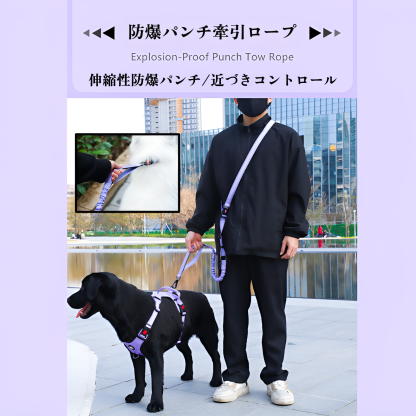 新しいペット防爆牽引ロープクロスボディランニング牽引ロープハンズフリー犬のリード犬のリード
